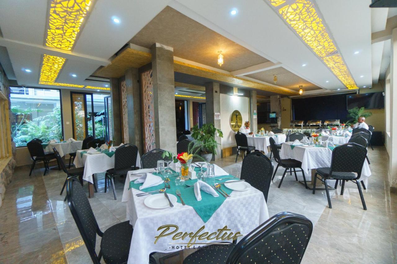 Perfectus & Gardens