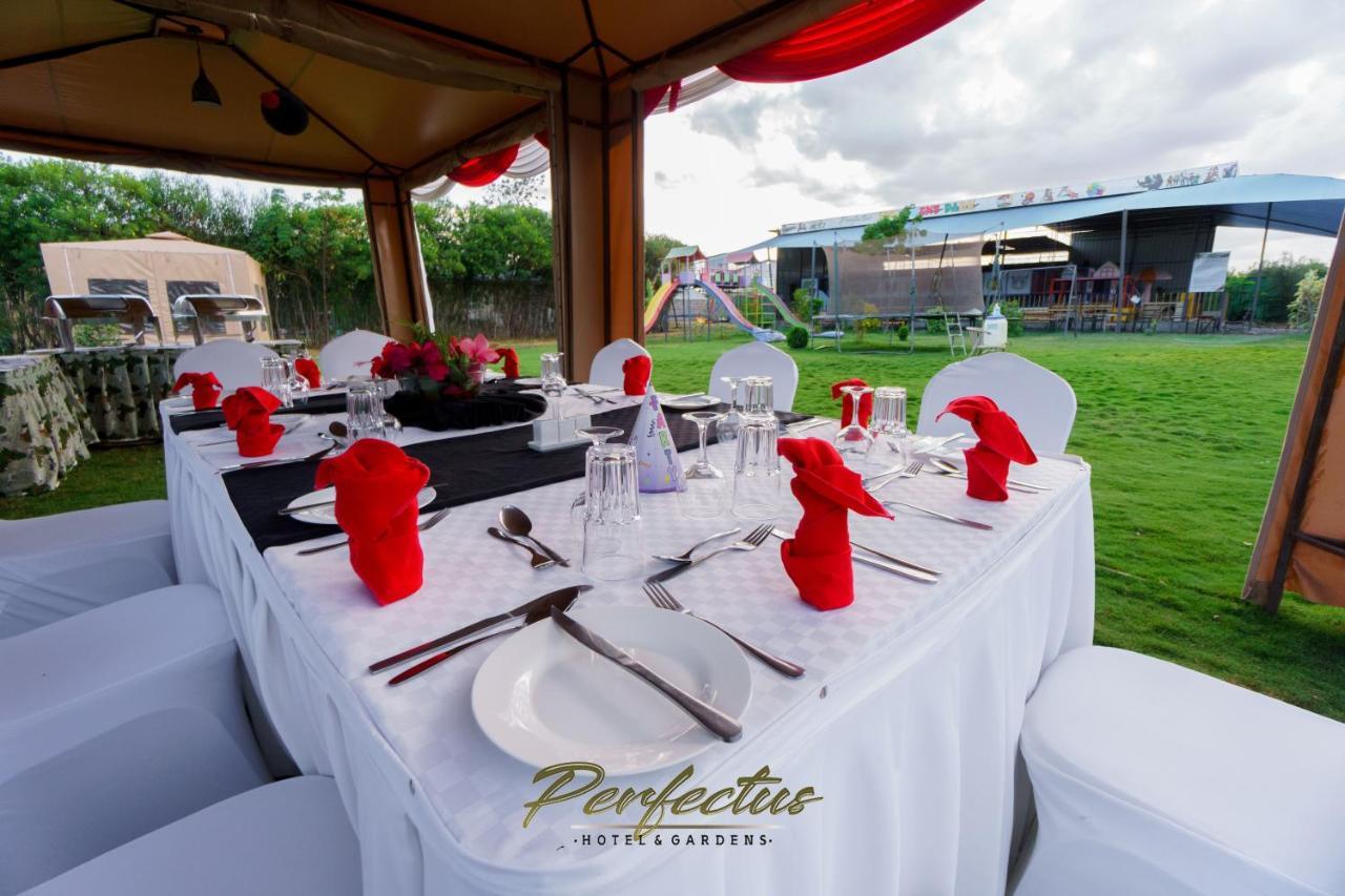 Perfectus & Gardens