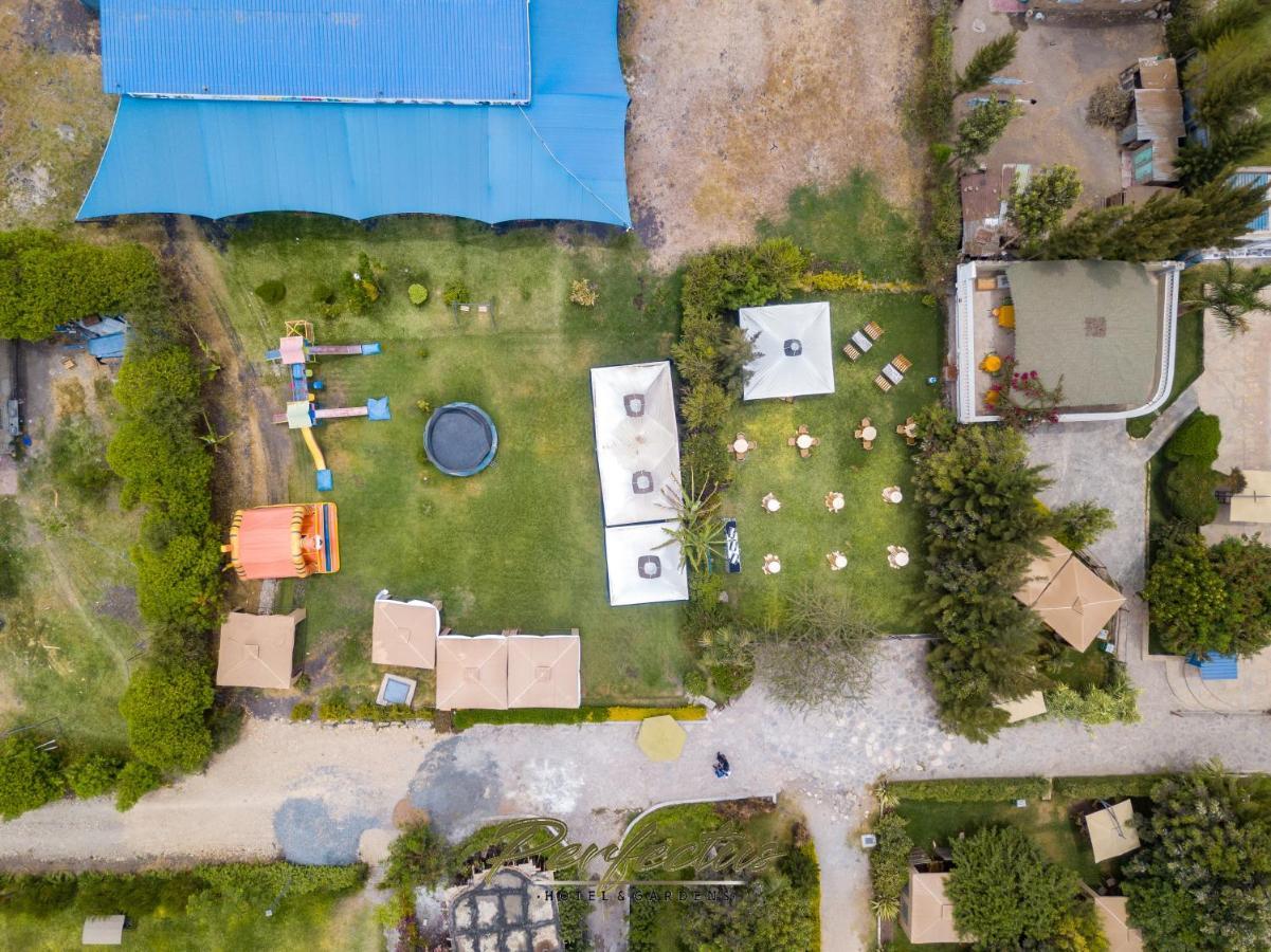 Hotel Perfectus & Gardens