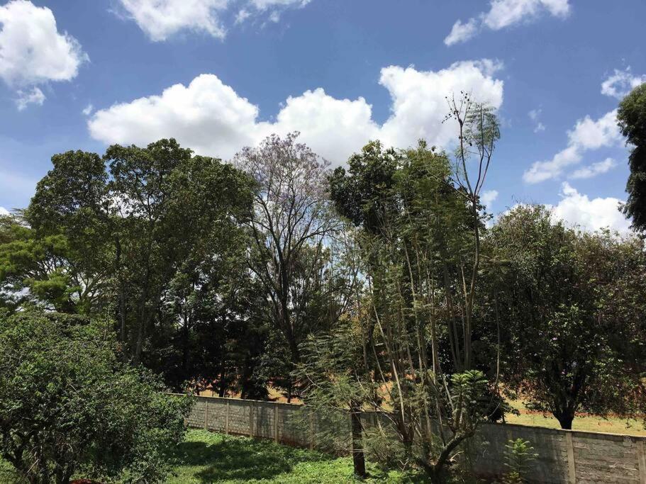 Apartment Lovely In Westlands