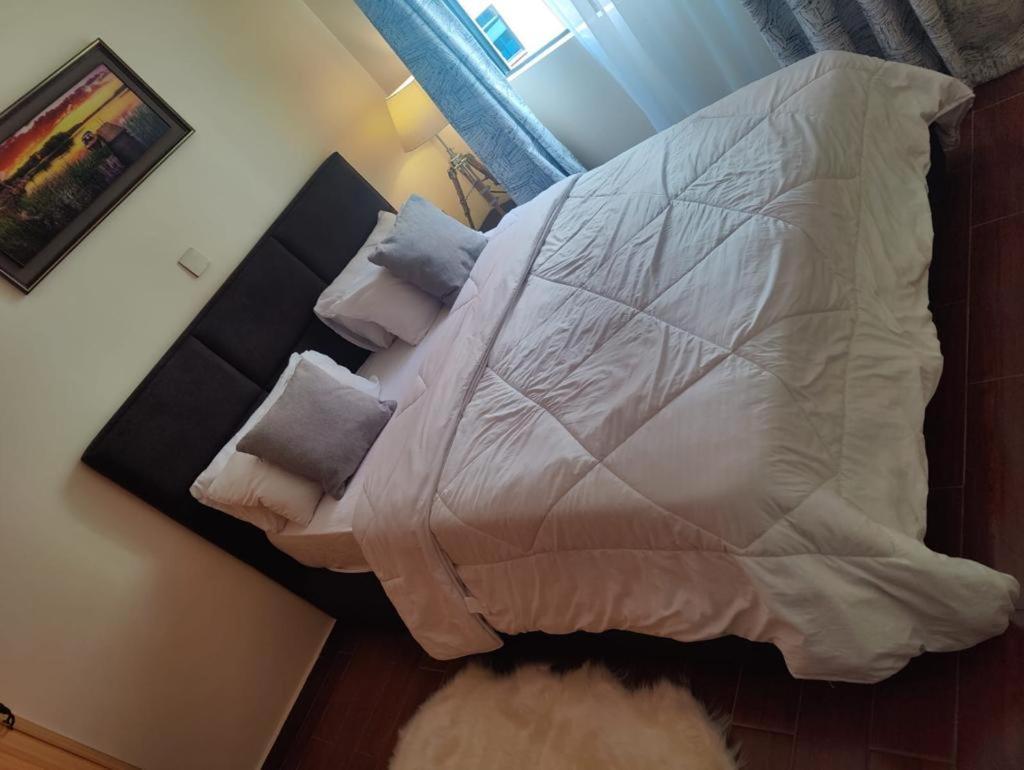 Apartment Zaney *
