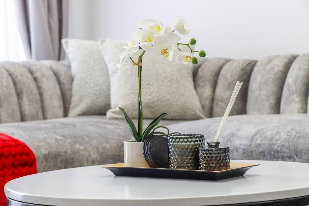Lovely Furnished Cozy 2bed/room Apartment