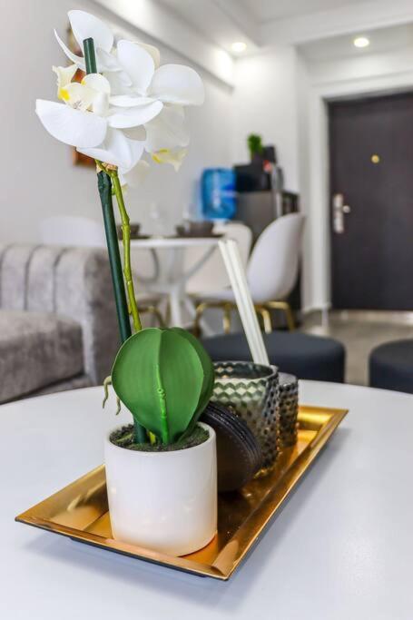 Lovely Furnished Cozy 2bed/room Apartment Nairobi