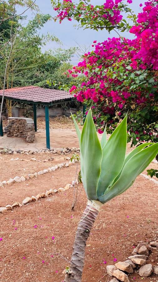 Rhino Point Backpackers Hostel *