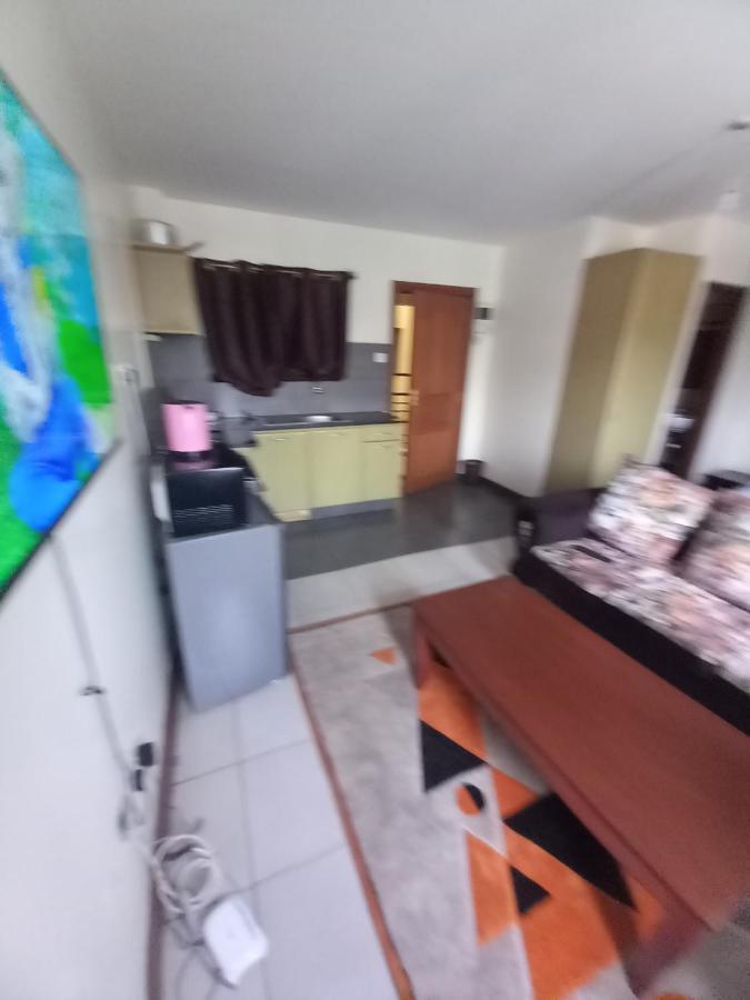 Furnished Apartment- Ngara *