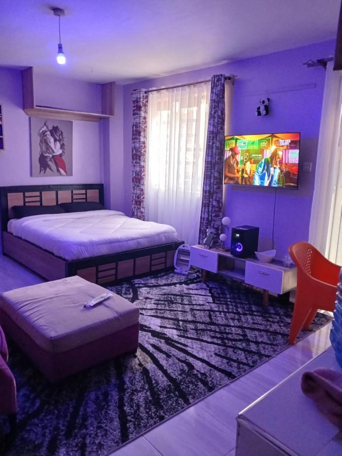 Antique Budget Studio Bed & Breakfast