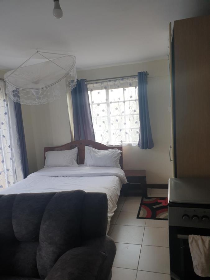 Furnished Apartment- Ngara Apartment *