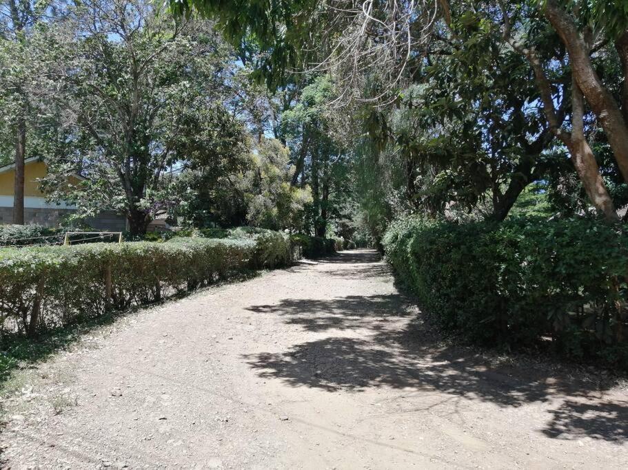 Apartment Cozy Haven, Centrally Located In Westlands, Nairobi