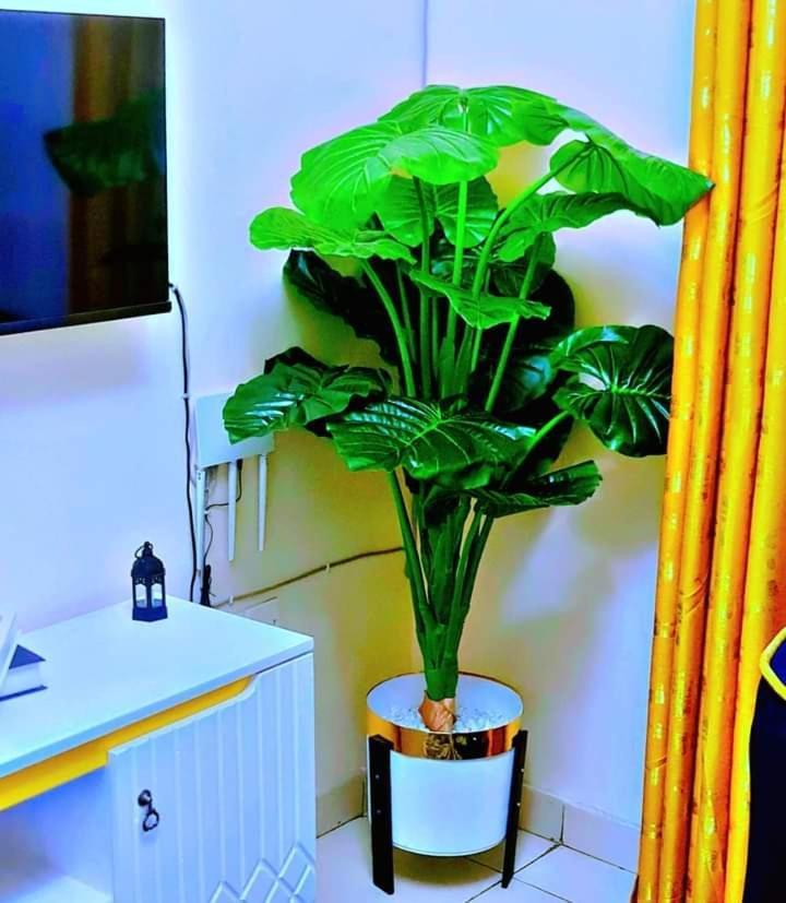 Apartment Smart Homes *