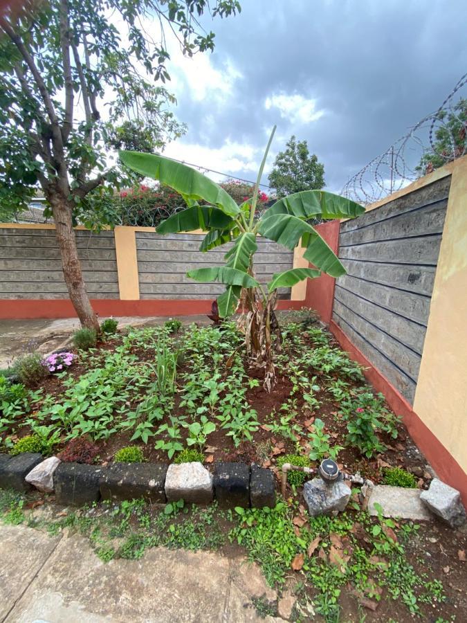 Apartment Imara House *