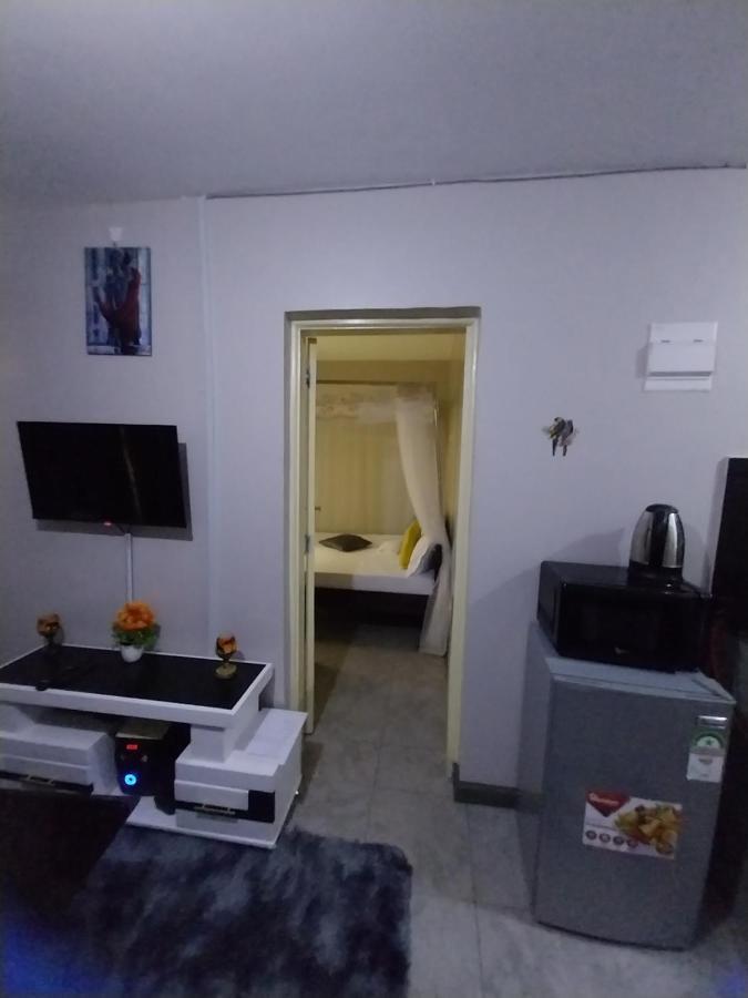Kings And Queens Airbnb With Wi-fi Near Jkia Airport. Apartment