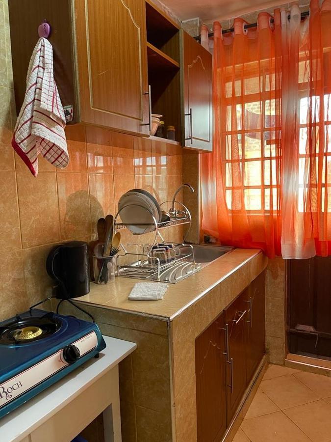 Luxury Apartment
