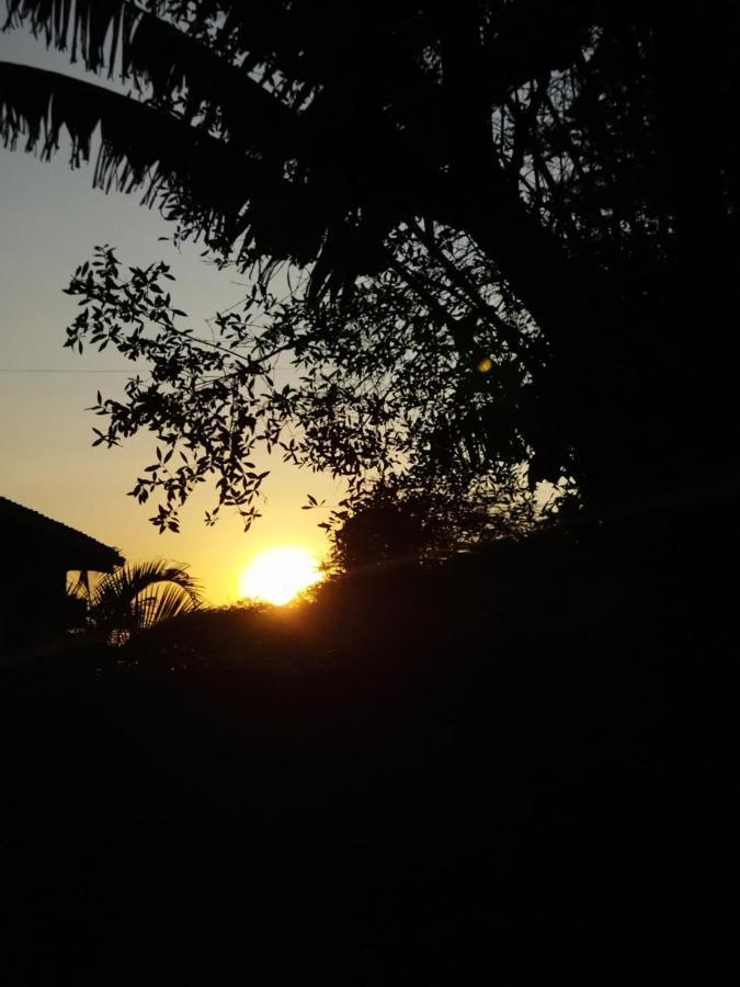 Bed & Breakfast Venia Place