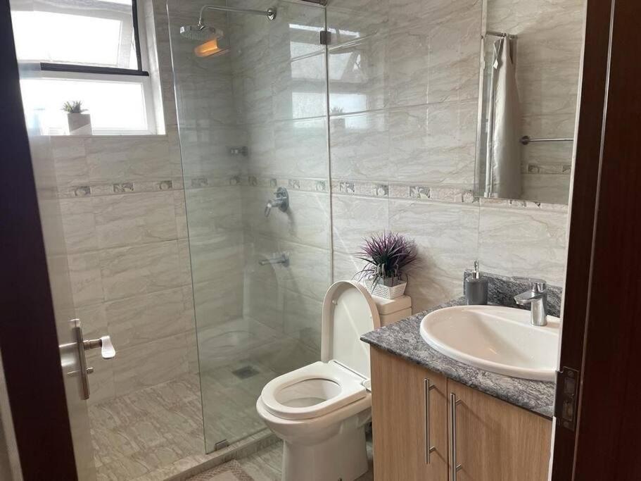 Executive Two Bdrm With Gym & Sauna . Apartment *