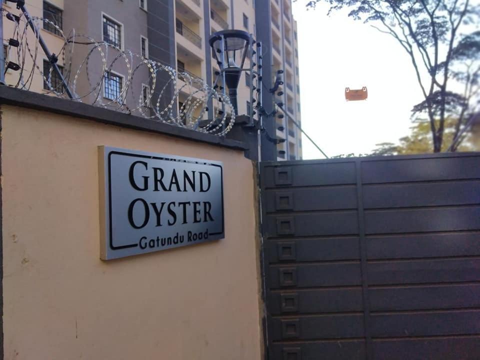 Sq Grand Oyster *