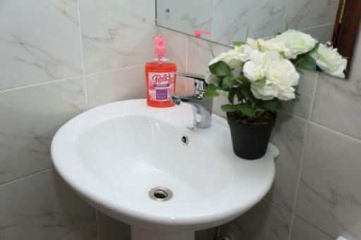 Apartment Dael Luxury South B *