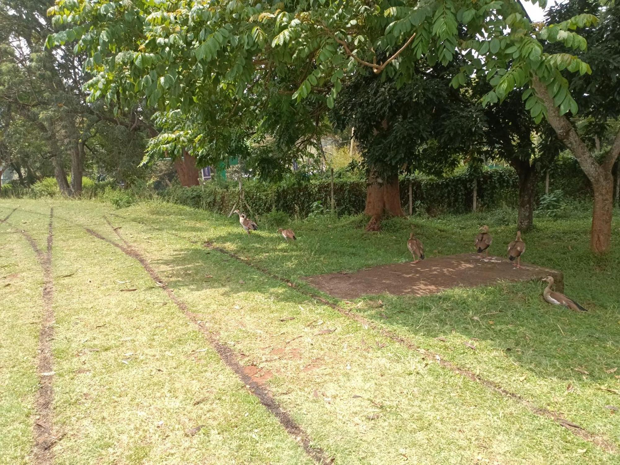 Holiday home The Pearl Cage Gigiri-near Us Embassy Nairobi