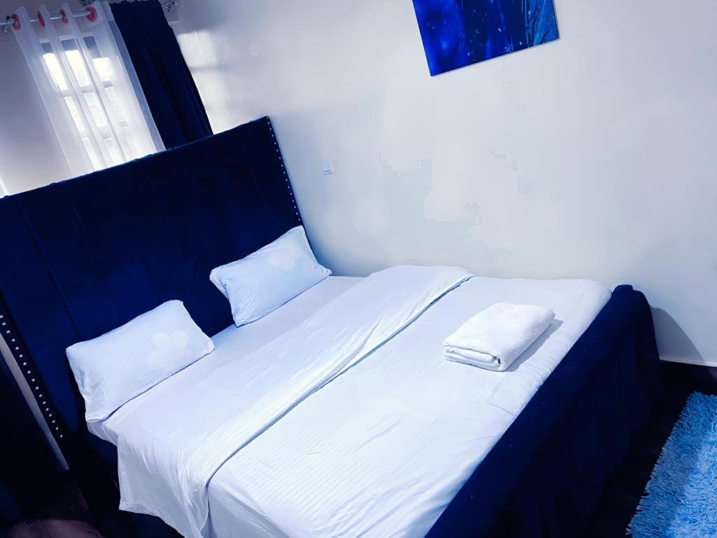 Glam One Bedroom, Mirema Drive, Bed & Breakfast Nairobi