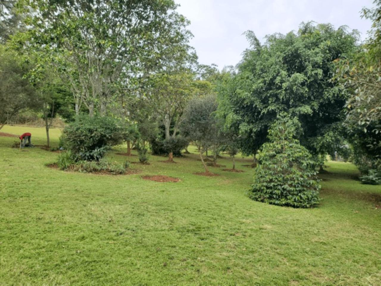Luxury Retreat In Karen Suburb, * Nairobi