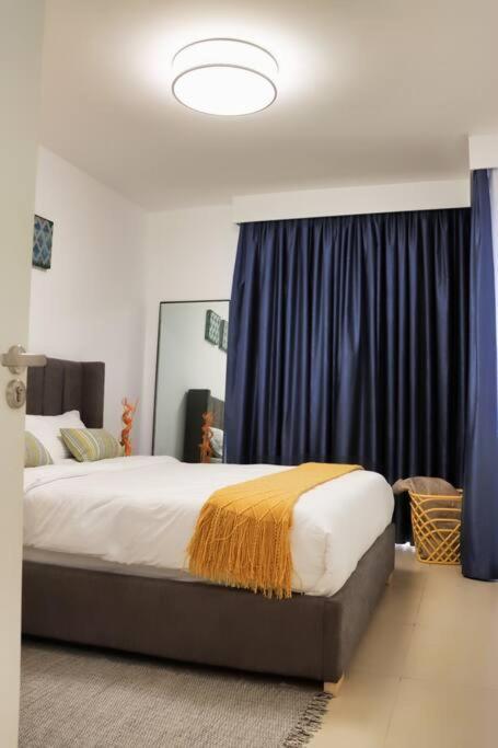 Apartment Astoria Lovely One Bedroom With Ac & Ups In Lavington *