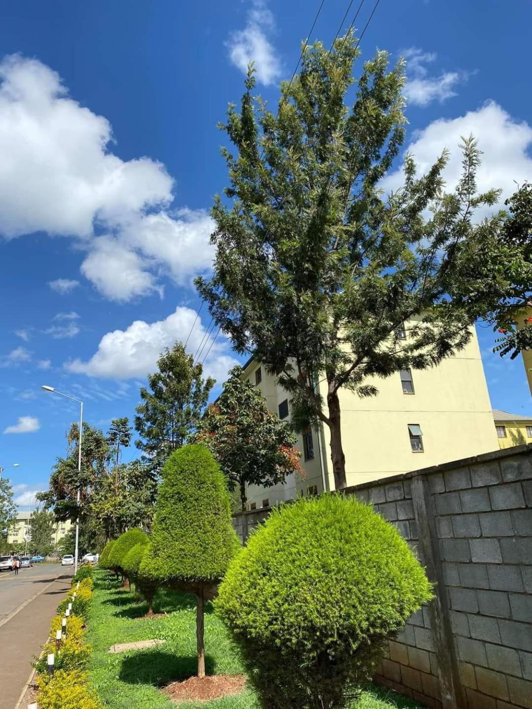 Gcurtway Homes Nyayo 3 Bedroom