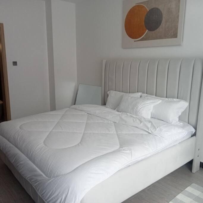 Spacious,3bed,3bath Sleeps 6! Close To Yaya Center * Nairobi