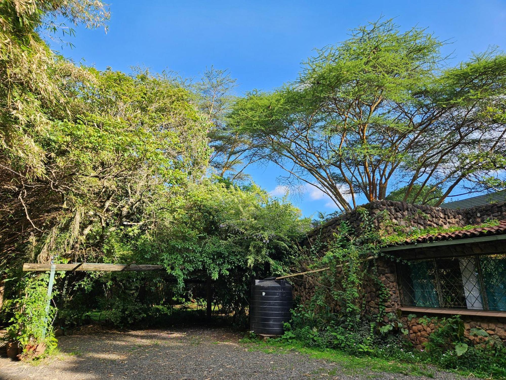 Mad Vervet Backpackers * Nairobi