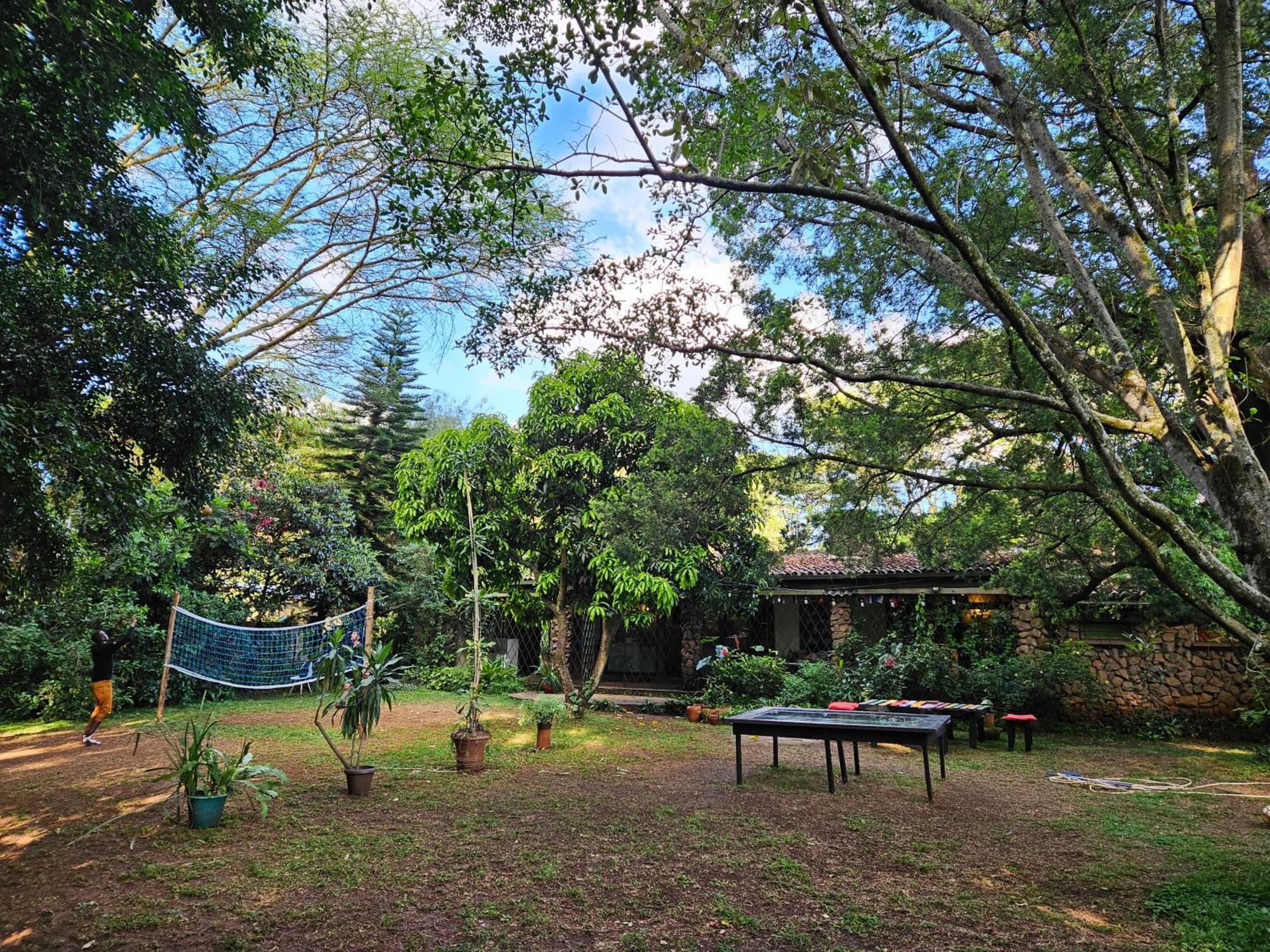 Mad Vervet Backpackers Hostel *