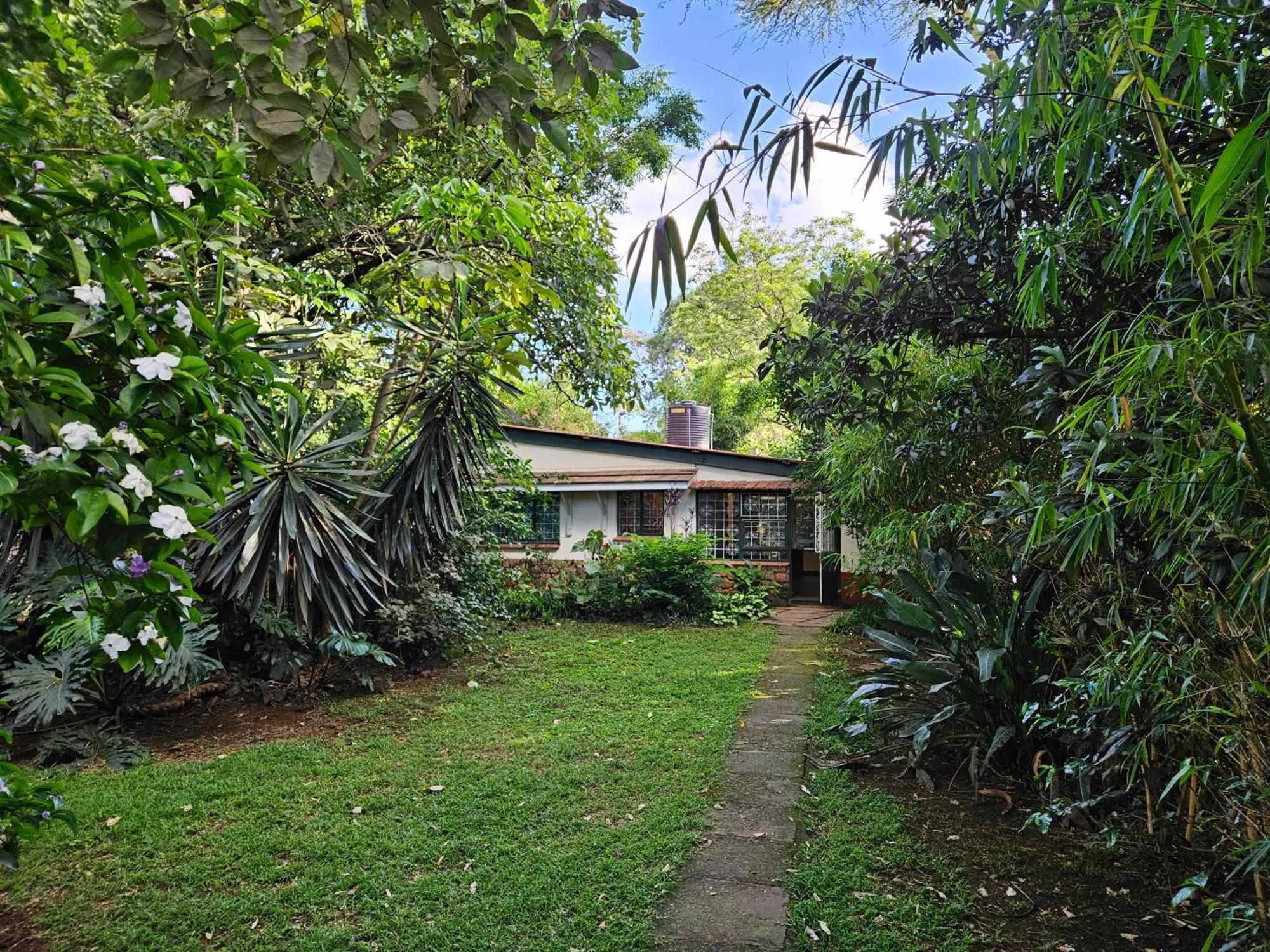 Hostel Mad Vervet Backpackers Nairobi