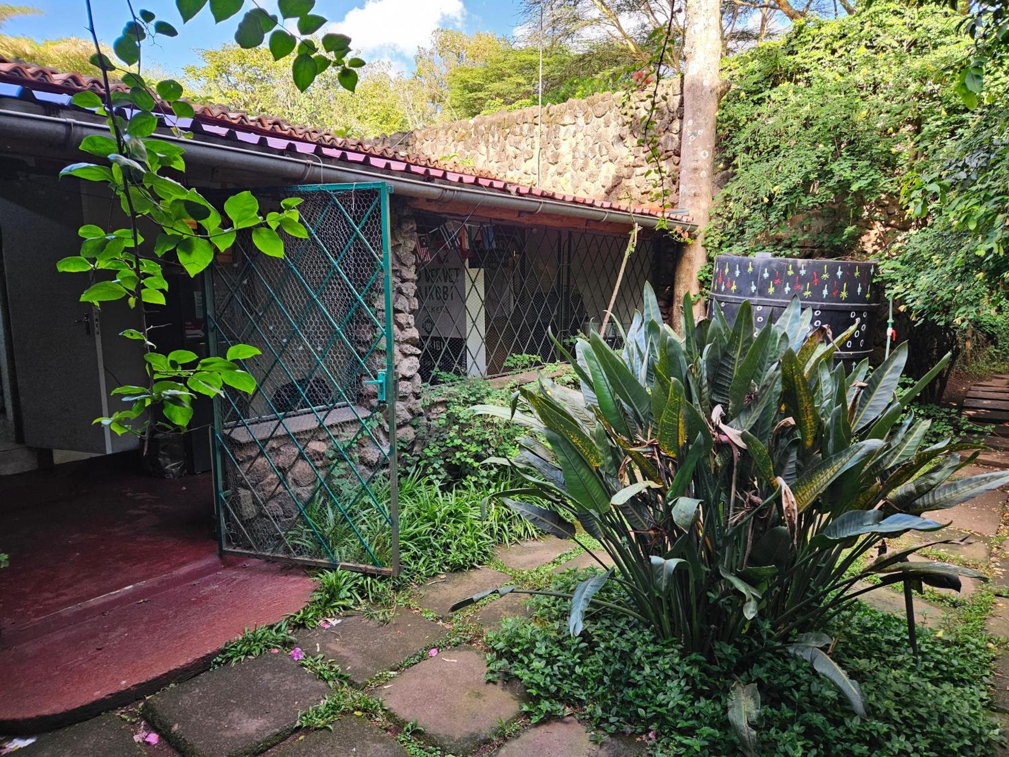 Hostel Mad Vervet Backpackers