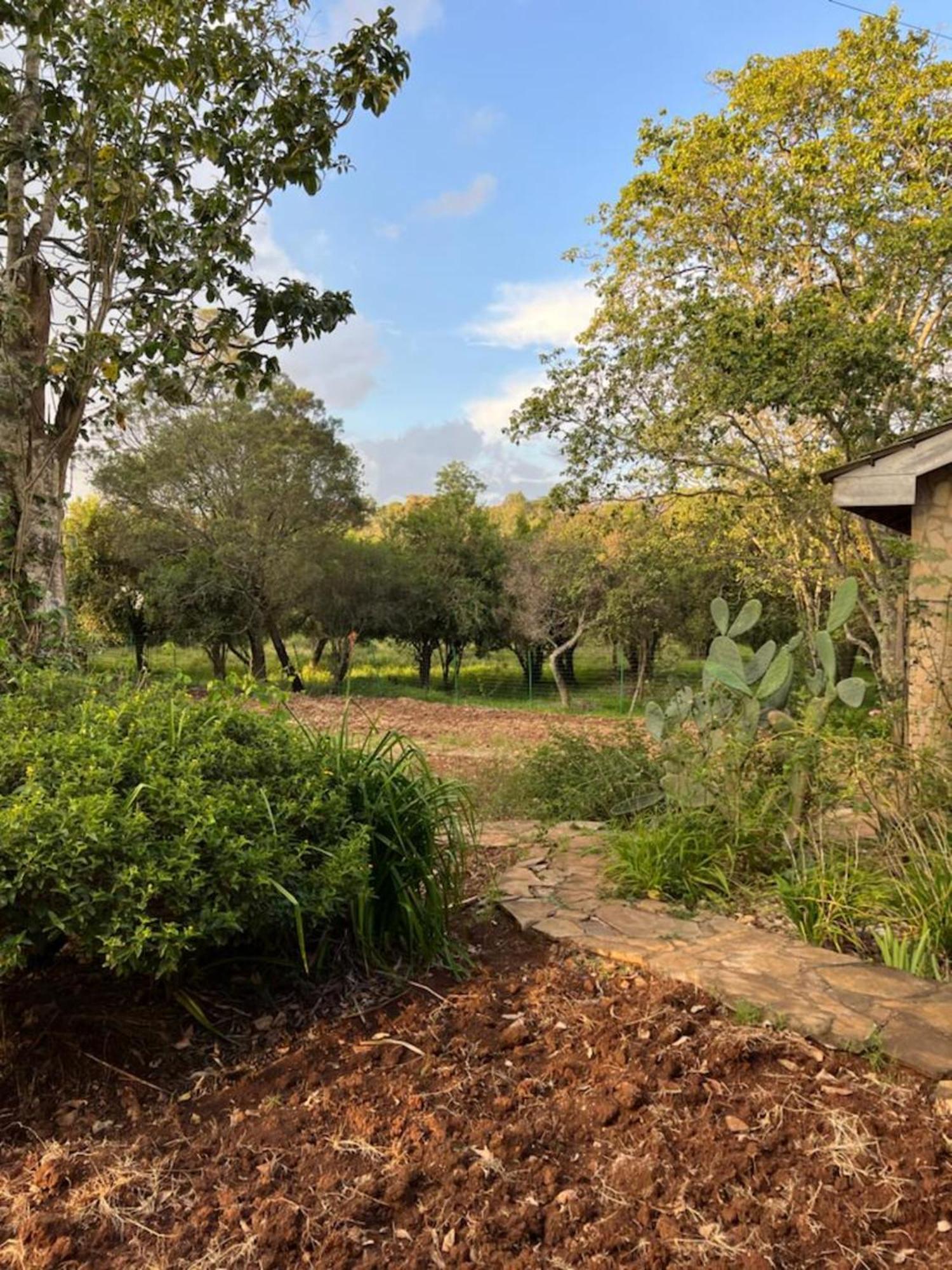 Holiday home Luxury Retreat In Karen Suburb, *