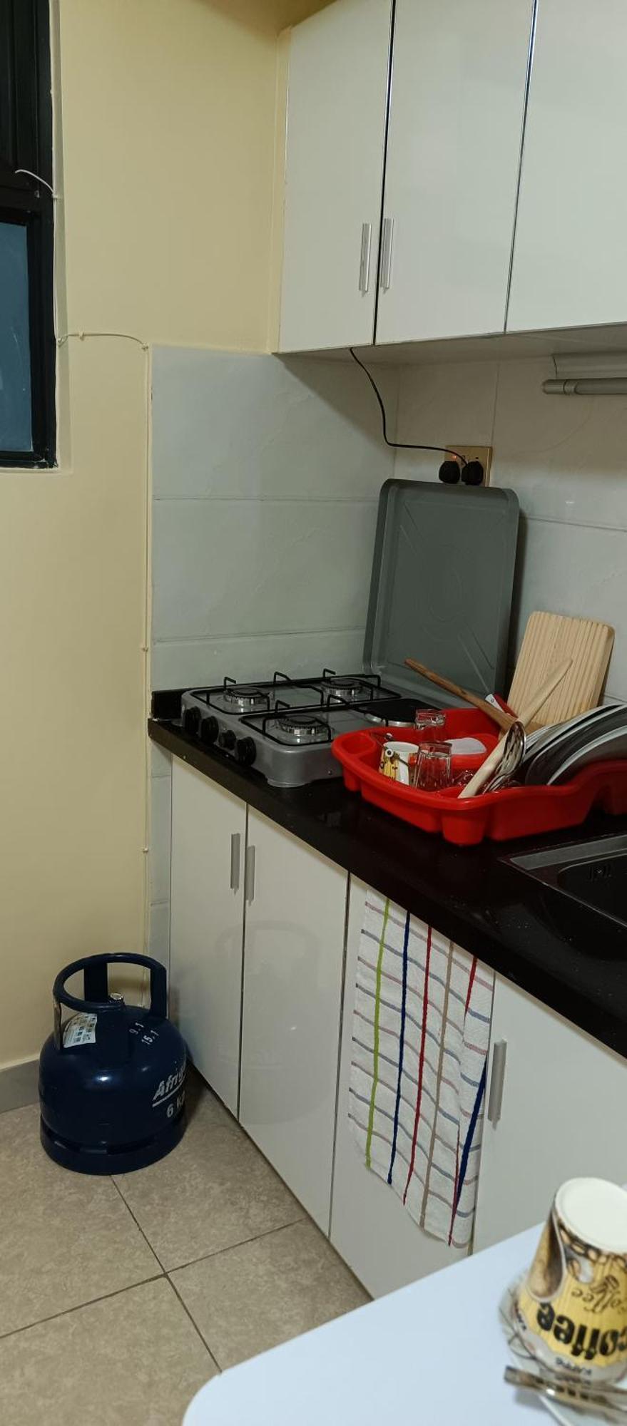Apartment Luxurious Small Kaisa Gardens Kileleshwa Nairobi