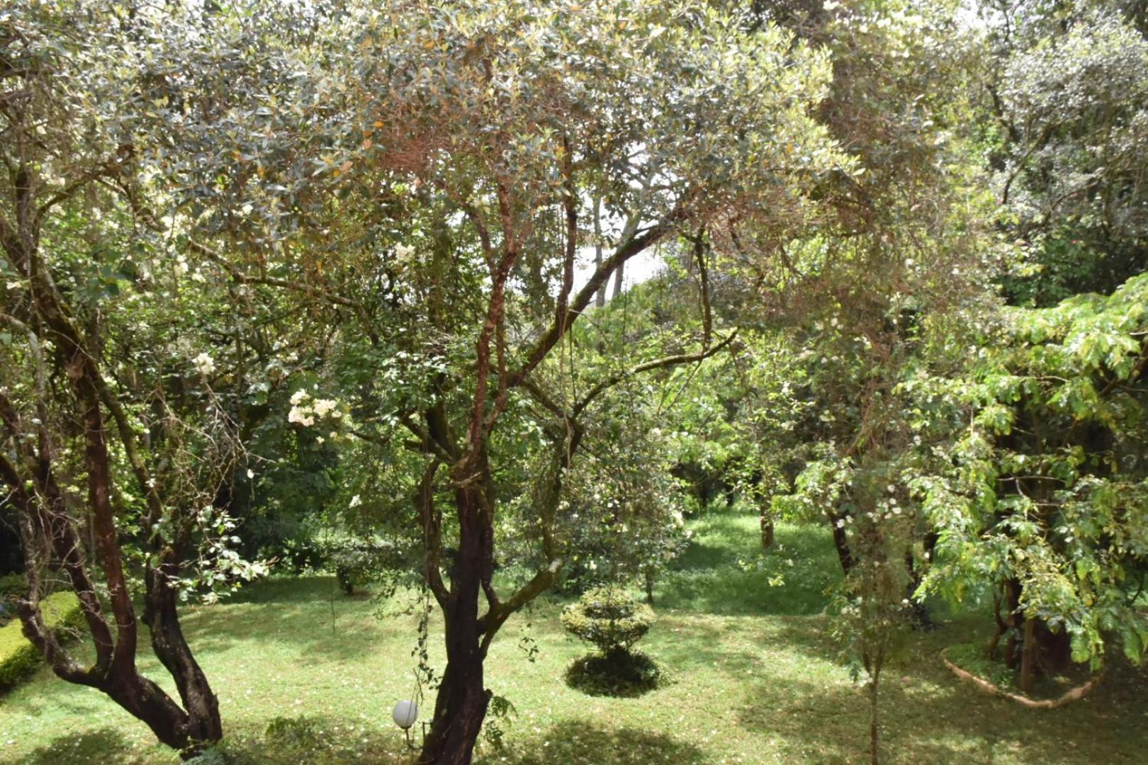 Venia Place Bed & Breakfast *