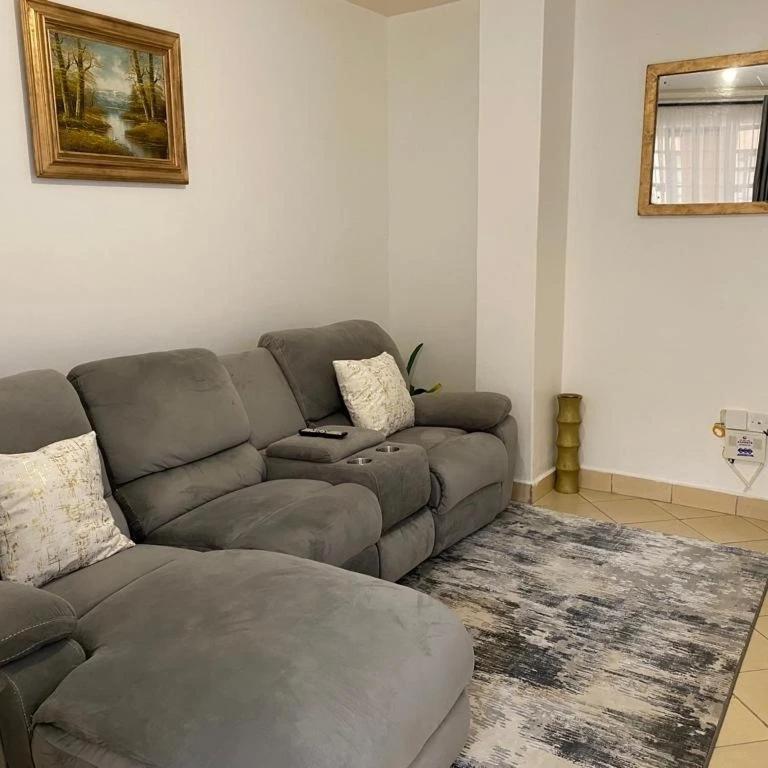Luxurious One Bedroom Centrally-located In South B, Minutes From Cbd, Shopping Malls, Restarants And Other Entertainment Areas. Free Private Parking With High-speed Lifts And Ample Security With Cameras Around The Building. Apartment