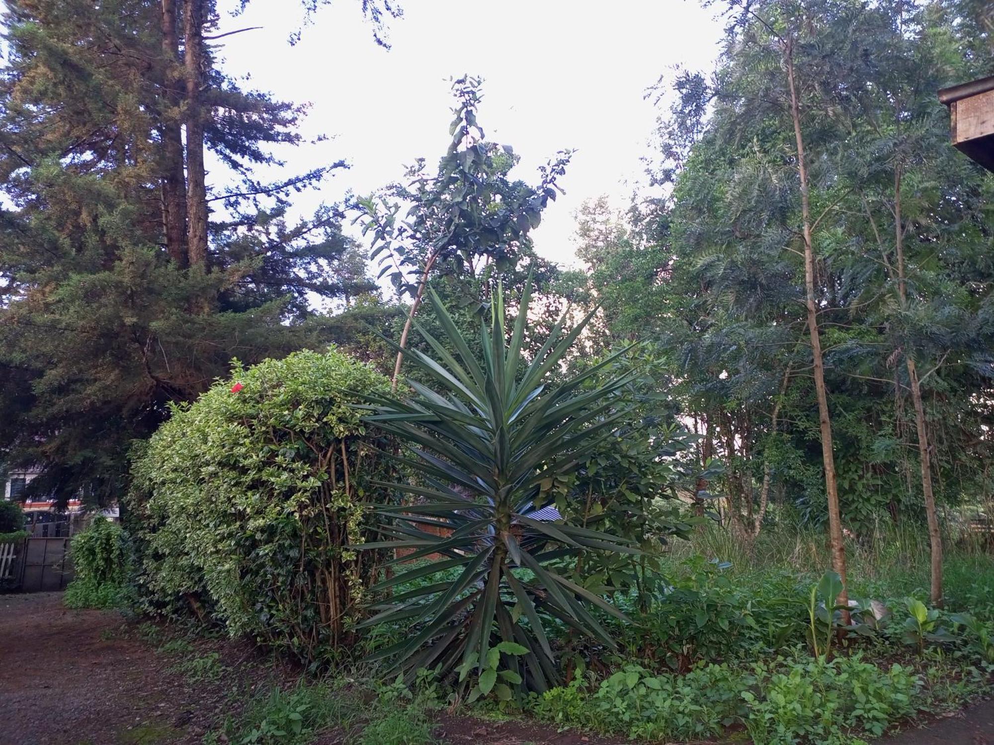 Jacaranda, Kahawa West 2 Bedroom Fully Furnished * Nairobi