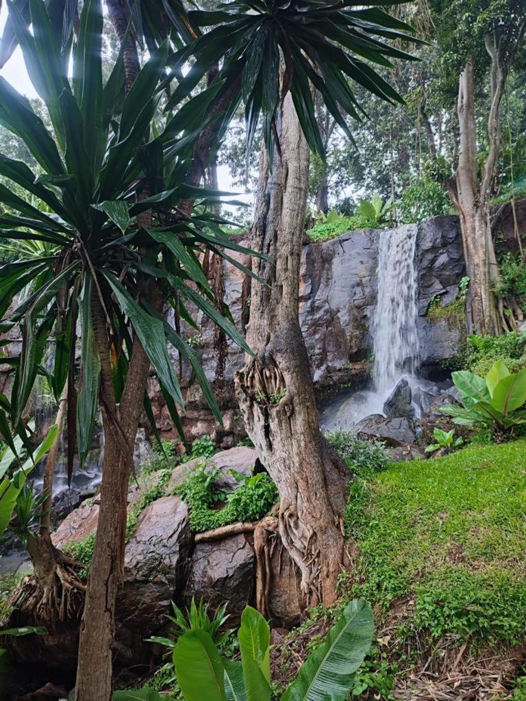 Little Farm Tigoni * Nairobi
