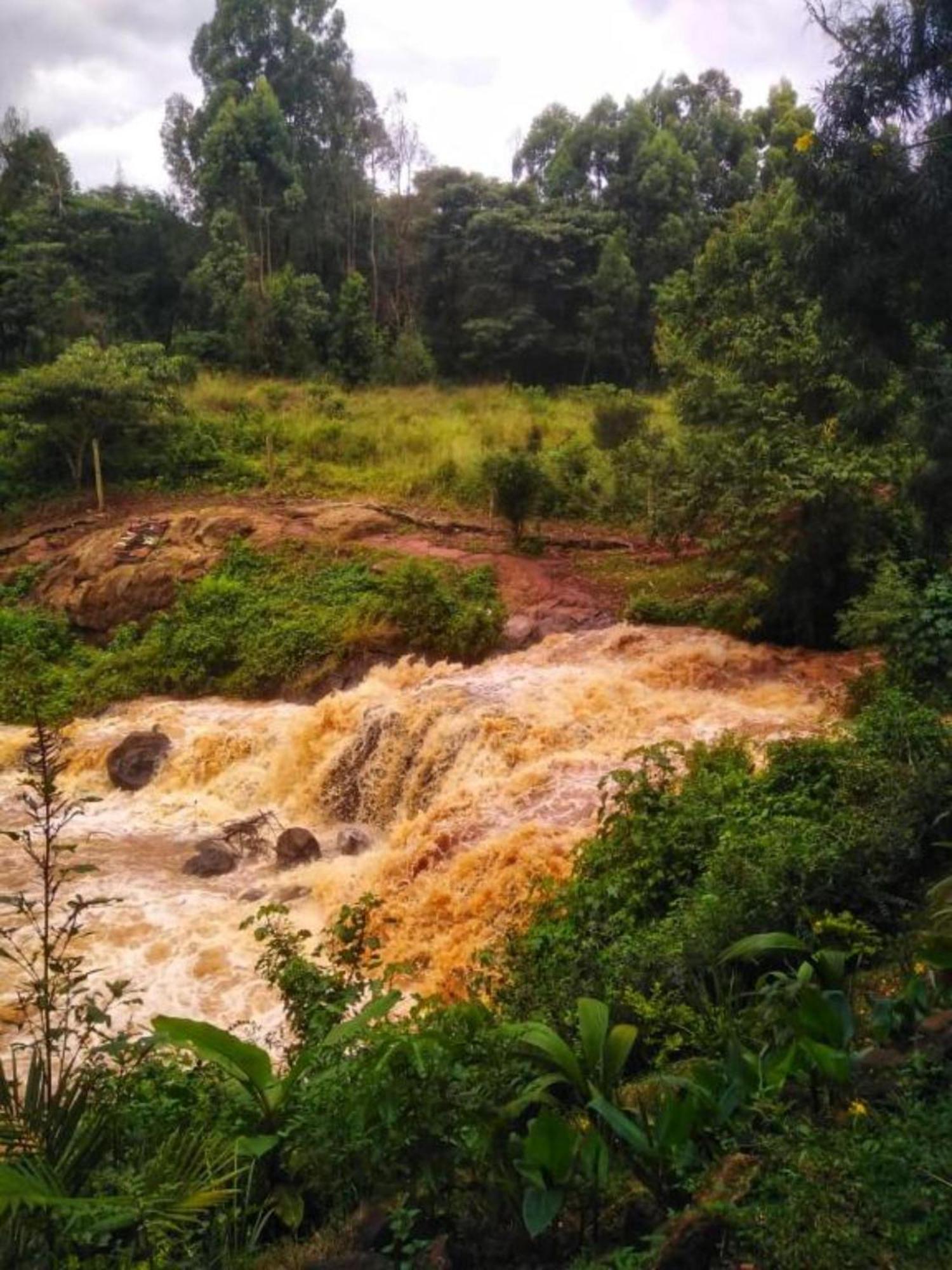 Casa de hóspedes Rock Stop Falls