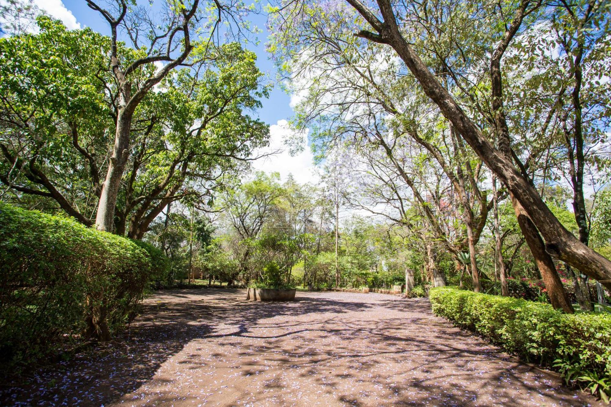 Yarkona Hedge