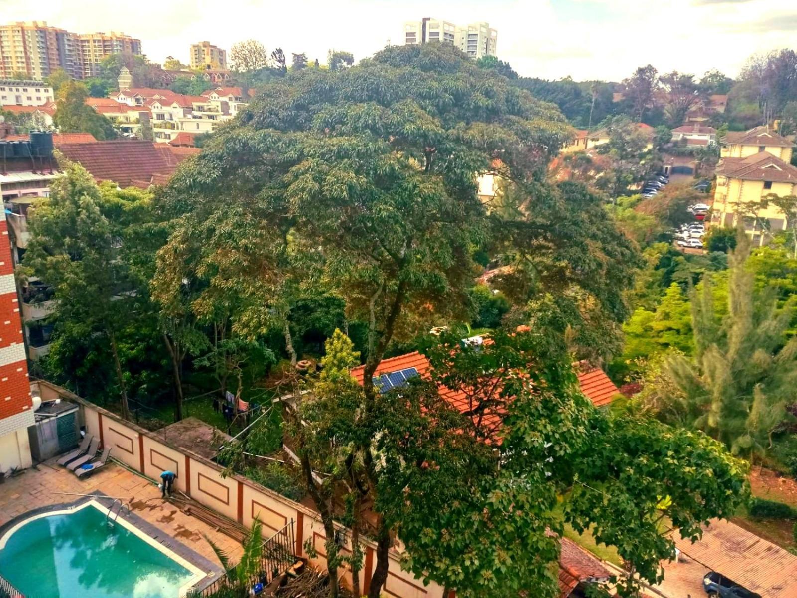 House Share-lavington Room1 Homestay