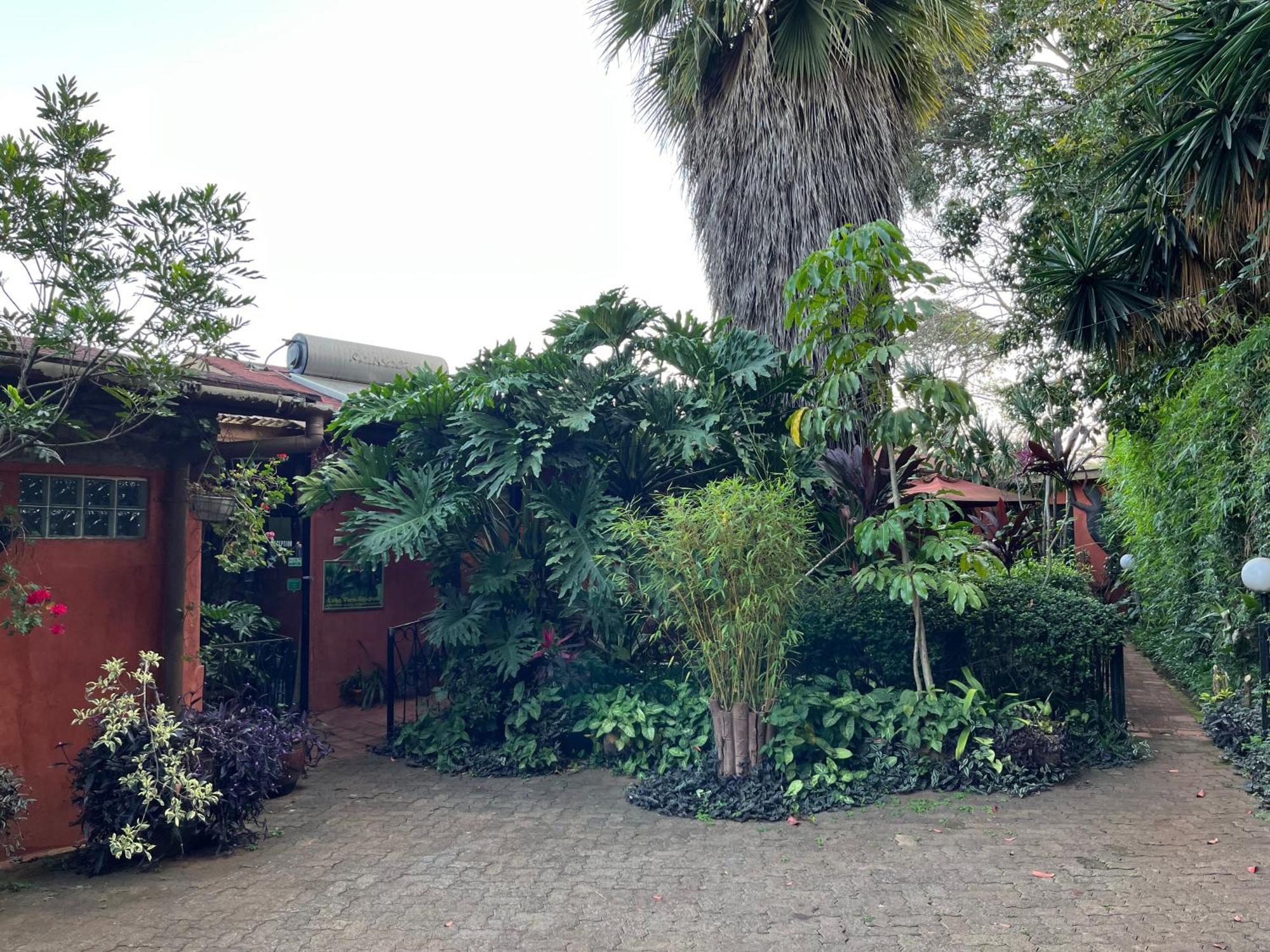 Guest house Lake View Studios