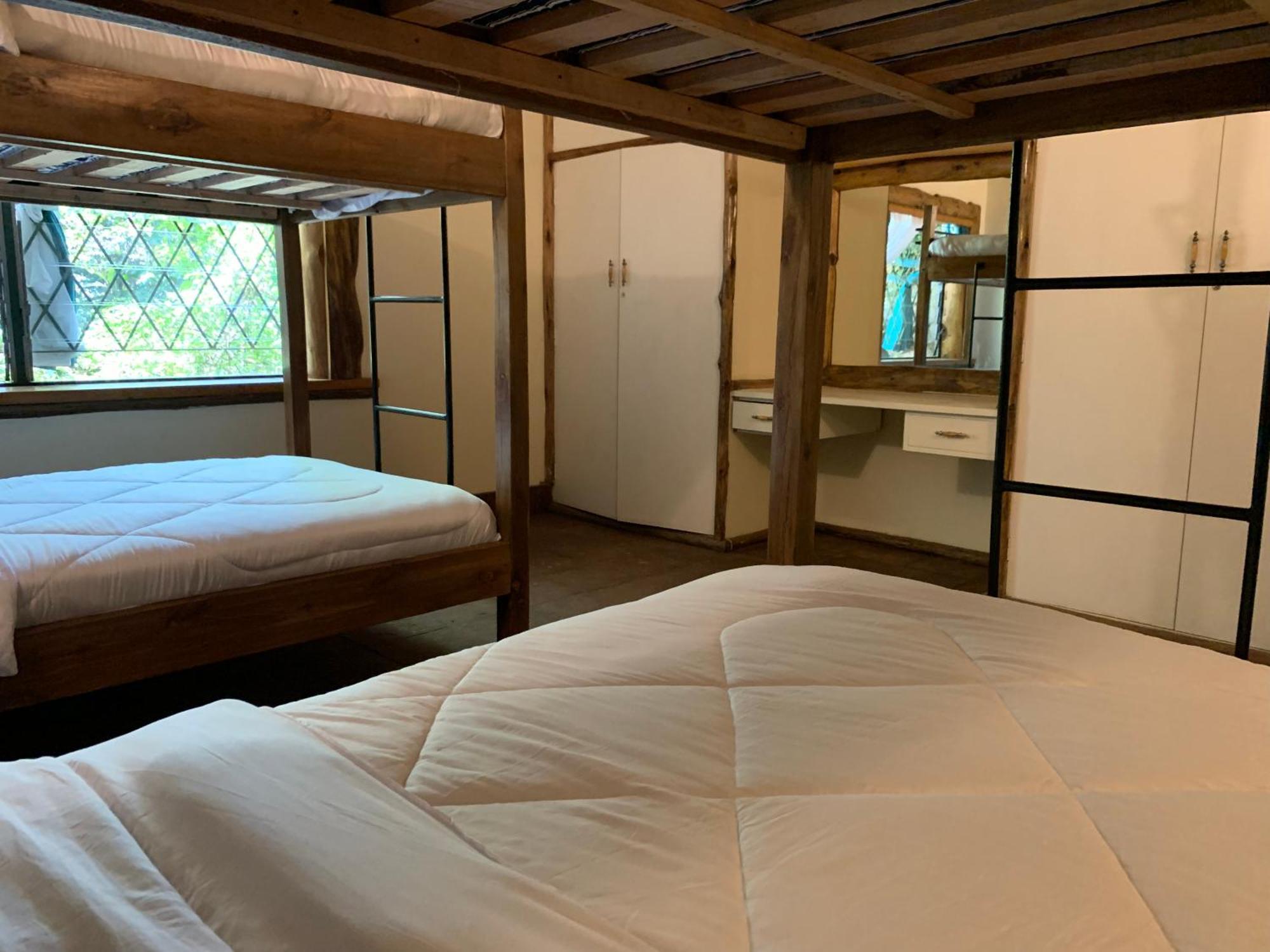 Hostel Mad Vervet Backpackers
