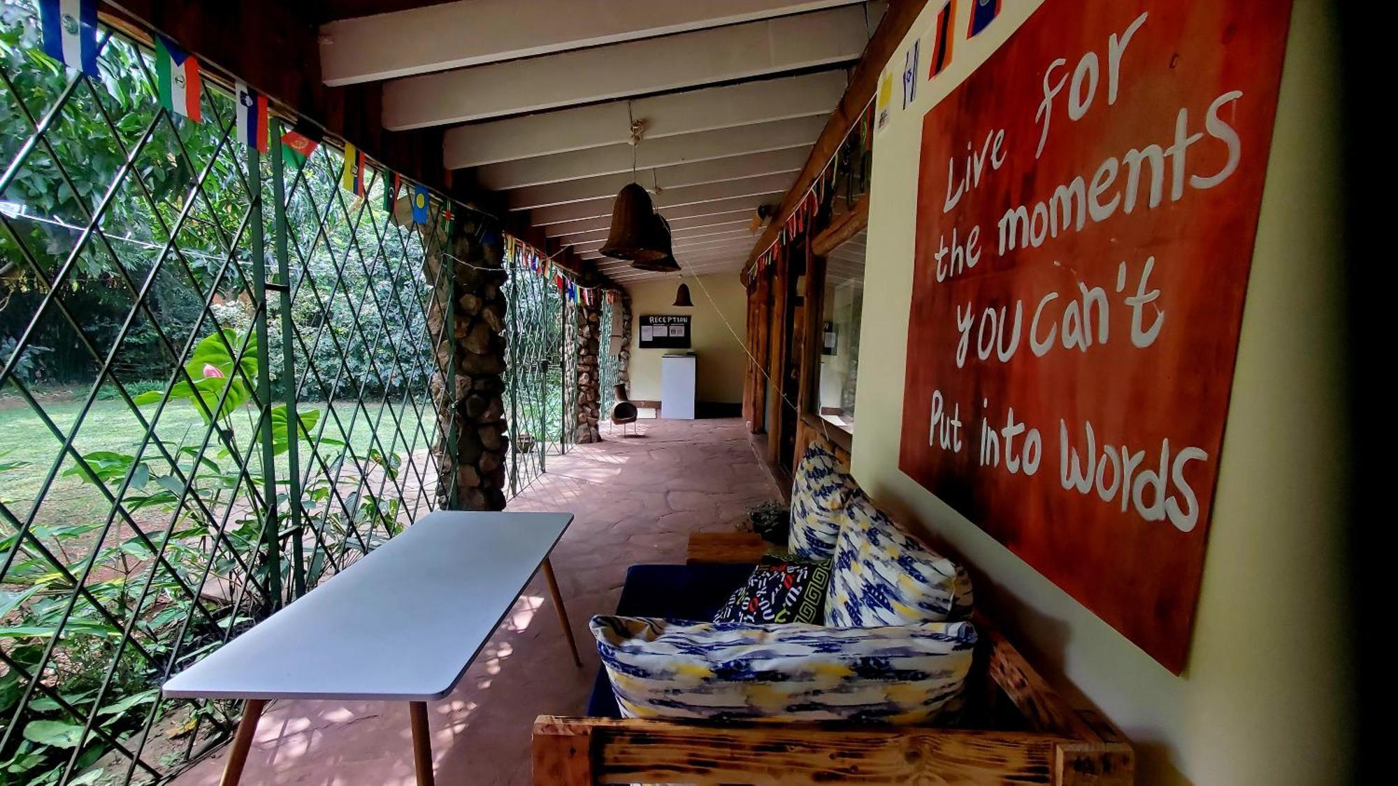 Mad Vervet Backpackers