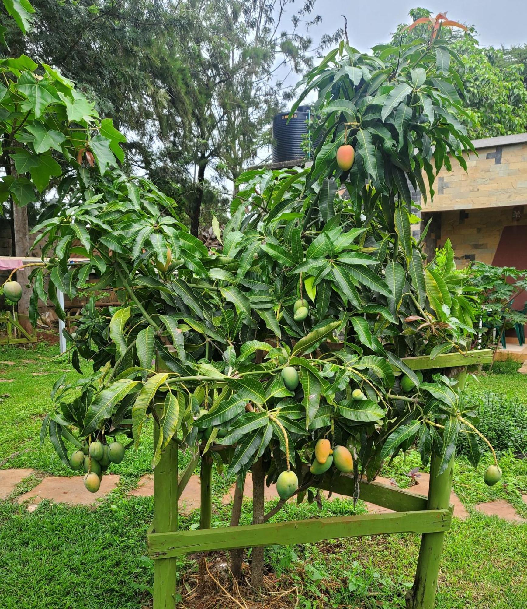 Guest house Edaala Comfort - *