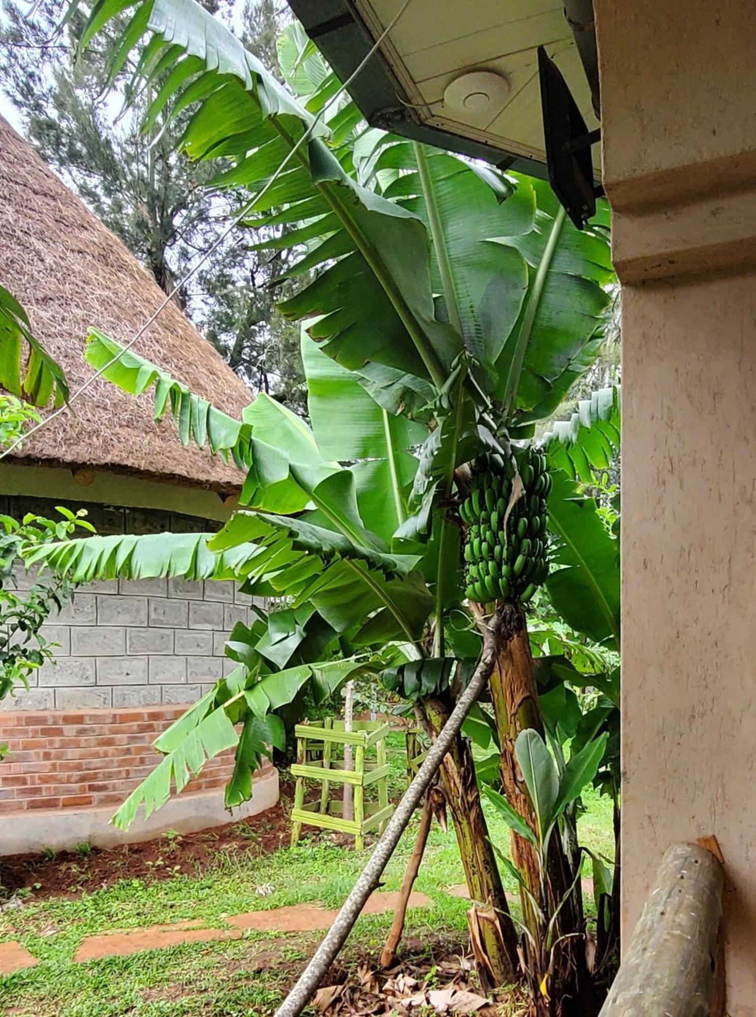 Hospedagem domiciliar Edaala Comfort - Nairobi
