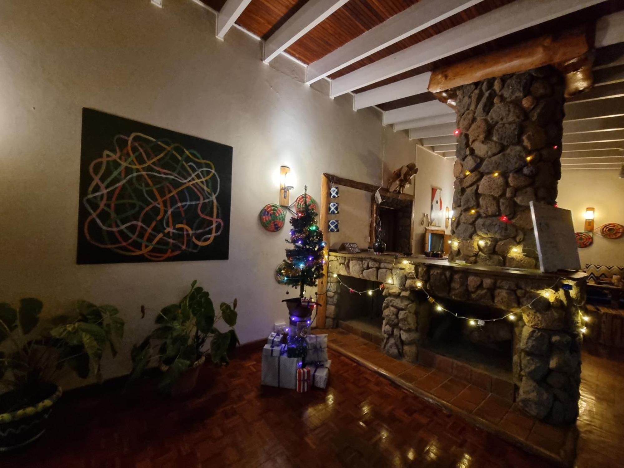 Hostel Mad Vervet Backpackers