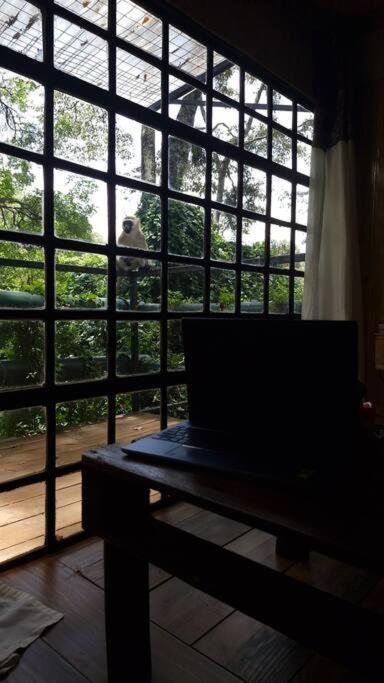 Karen Tree House Apartment