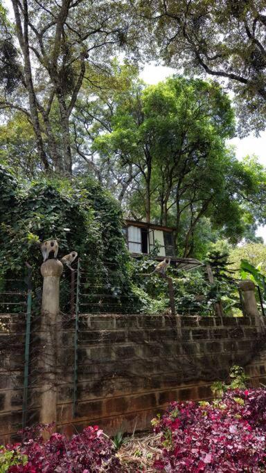 Karen Tree House Apartment