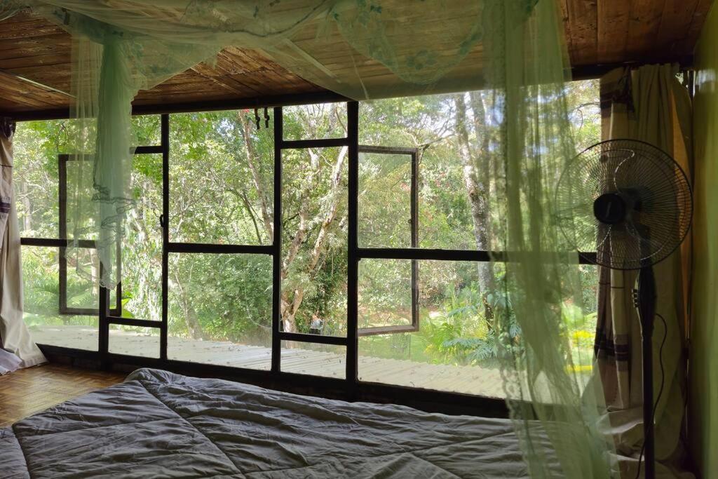 Karen Tree House