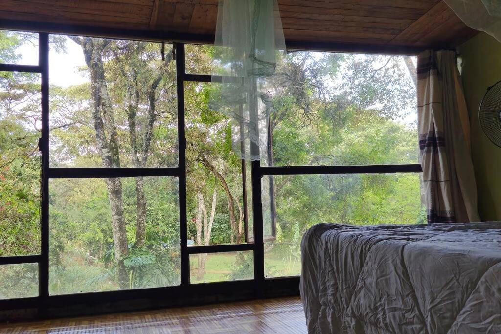 Karen Tree House * Nairobi