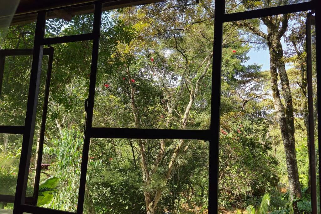 Karen Tree House Apartment *